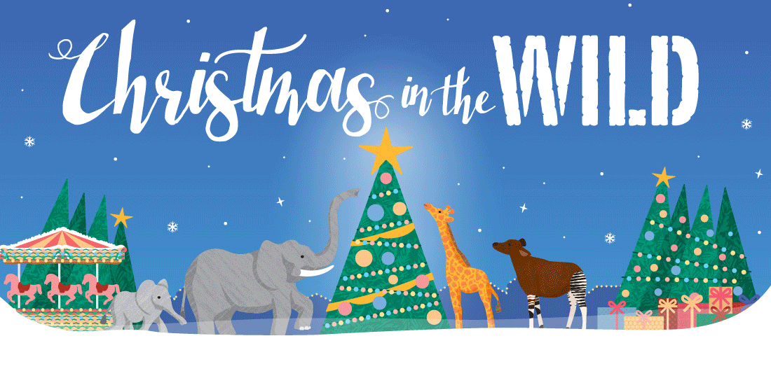 Christmas in the wild feature image